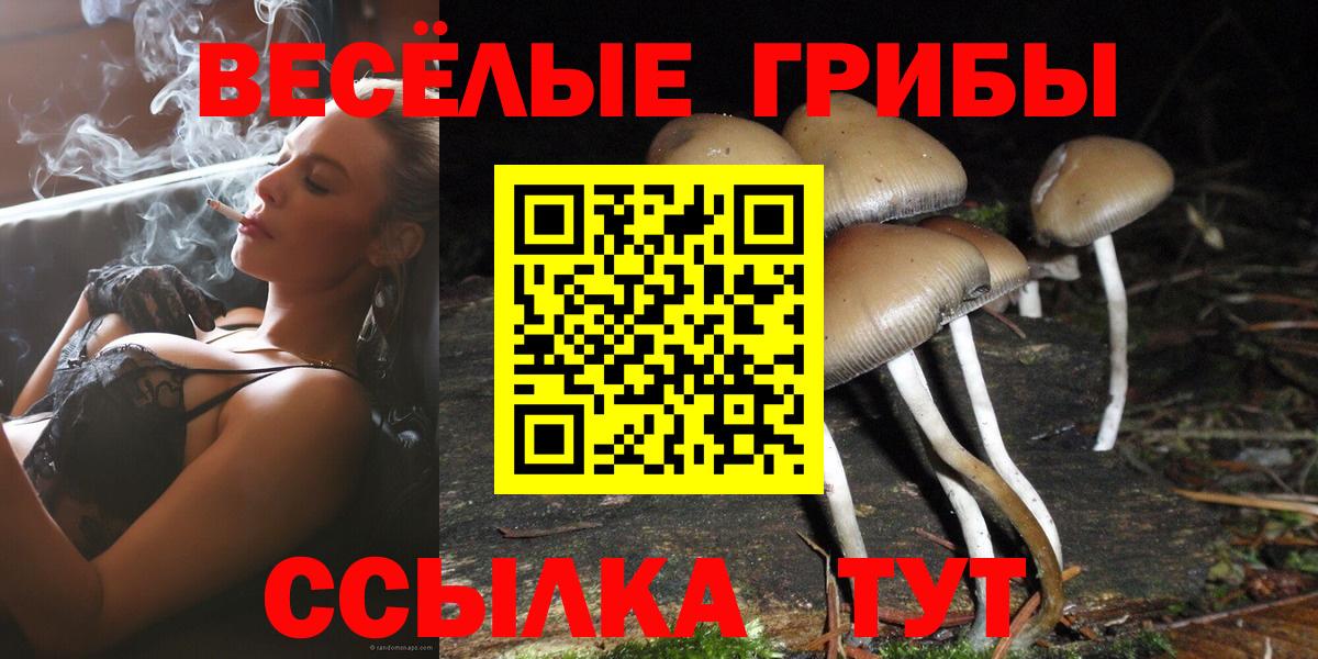 Саянск  Галлюциногенные грибы ЛСД  Псилоцибиновые грибы Cubensis  Вход с VPN 